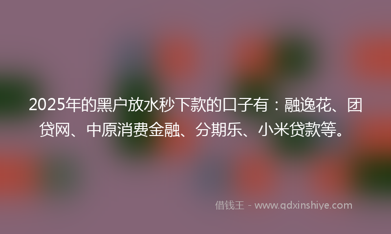2025年的黑户放水秒下款的口子有：融逸花、团贷网、中原消费金融、分期乐、小米贷款等。