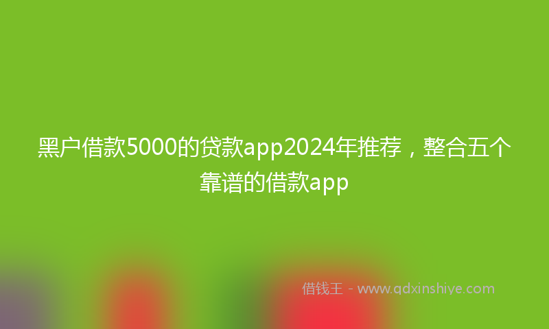 黑户借款5000的贷款app2024年推荐，整合五个靠谱的借款app