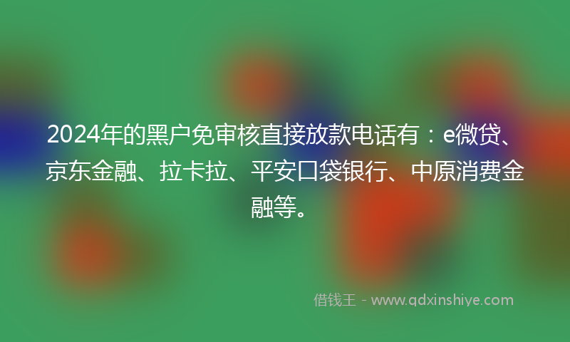 2024年的黑户免审核直接放款电话有：e微贷、京东金融、拉卡拉、平安口袋银行、中原消费金融等。