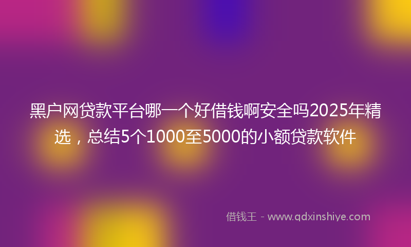 黑户网贷款平台哪一个好借钱啊安全吗2025年精选，总结5个1000至5000的小额贷款软件