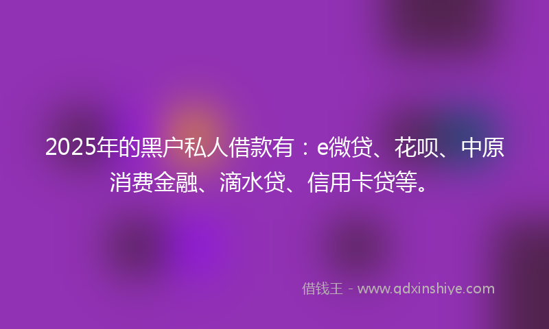 2025年的黑户私人借款有：e微贷、花呗、中原消费金融、滴水贷、信用卡贷等。
