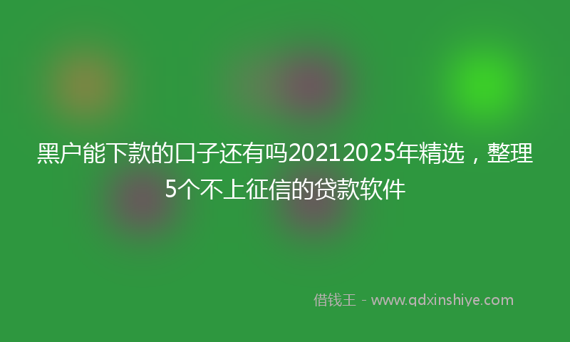 黑户能下款的口子还有吗20212025年精选，整理5个不上征信的贷款软件