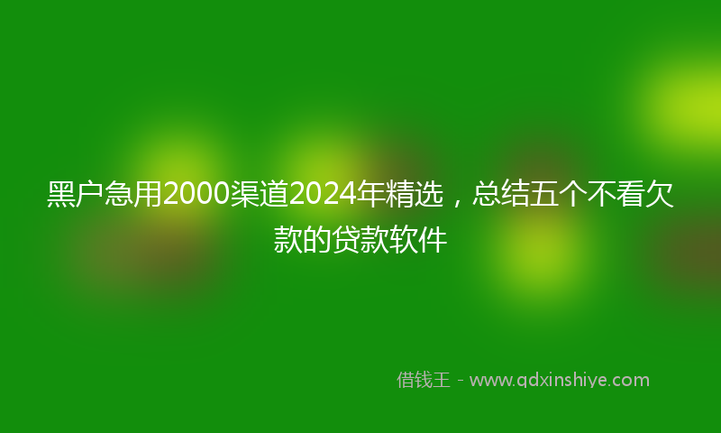 黑户急用2000渠道2024年精选，总结五个不看欠款的贷款软件