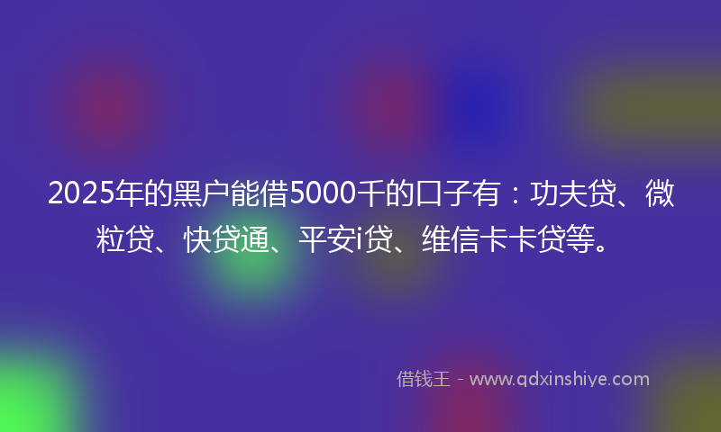 2025年的黑户能借5000千的口子有：功夫贷、微粒贷、快贷通、平安i贷、维信卡卡贷等。