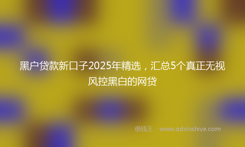 黑户贷款新口子2025年精选，汇总5个真正无视风控黑白的网贷