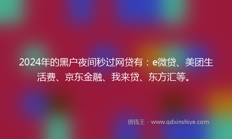2024年的黑户夜间秒过网贷有：e微贷、美团生活费、京东金融、我来贷、东方汇等。