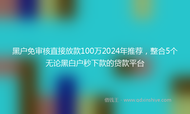 黑户免审核直接放款100万2024年推荐，整合5个无论黑白户秒下款的贷款平台