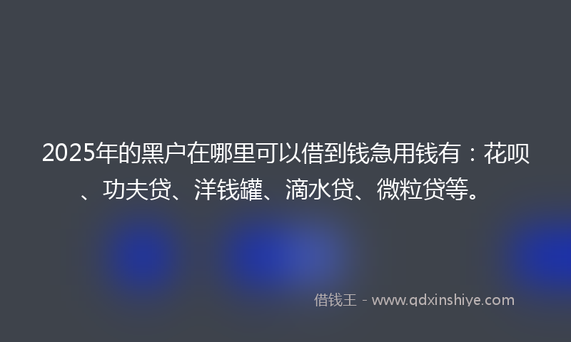 2025年的黑户在哪里可以借到钱急用钱有：花呗、功夫贷、洋钱罐、滴水贷、微粒贷等。