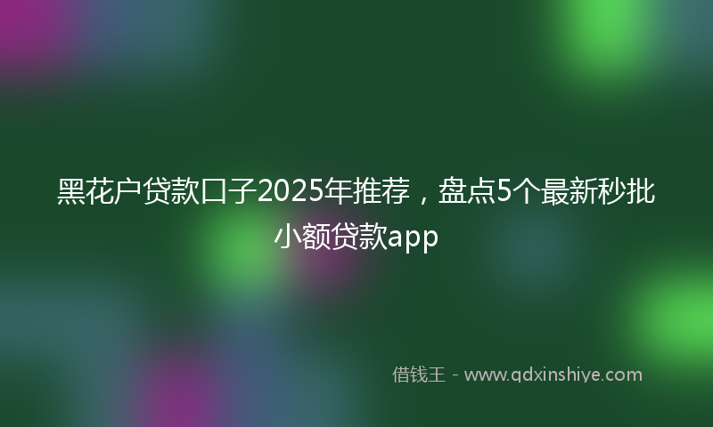 黑花户贷款口子2025年推荐，盘点5个最新秒批小额贷款app