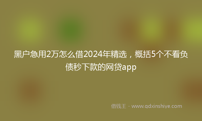 黑户急用2万怎么借2024年精选，概括5个不看负债秒下款的网贷app