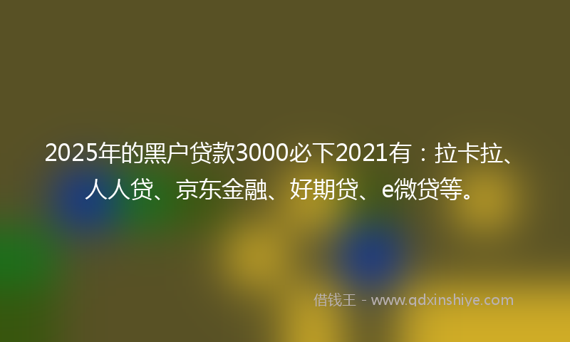 2025年的黑户贷款3000必下2021有：拉卡拉、人人贷、京东金融、好期贷、e微贷等。