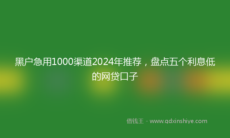 黑户急用1000渠道2024年推荐，盘点五个利息低的网贷口子