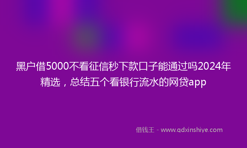黑户借5000不看征信秒下款口子能通过吗2024年精选，总结五个看银行流水的网贷app