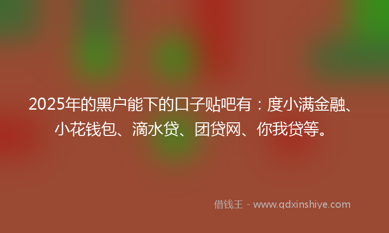2025年的黑户能下的口子贴吧有：度小满金融、小花钱包、滴水贷、团贷网、你我贷等。