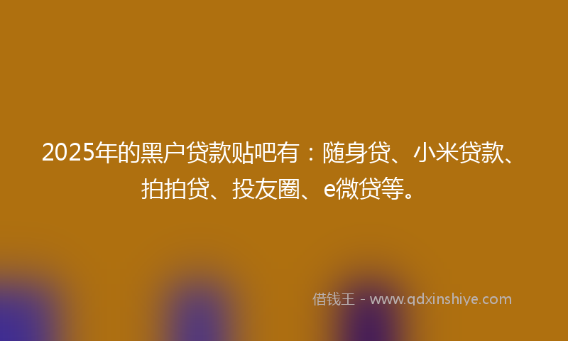 2025年的黑户贷款贴吧有：随身贷、小米贷款、拍拍贷、投友圈、e微贷等。