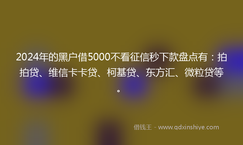 2024年的黑户借5000不看征信秒下款盘点有：拍拍贷、维信卡卡贷、柯基贷、东方汇、微粒贷等。