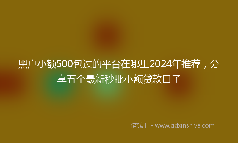 黑户小额500包过的平台在哪里2024年推荐，分享五个最新秒批小额贷款口子
