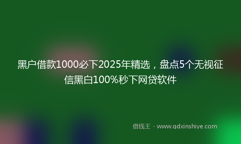 黑户借款1000必下2025年精选，盘点5个无视征信黑白100%秒下网贷软件