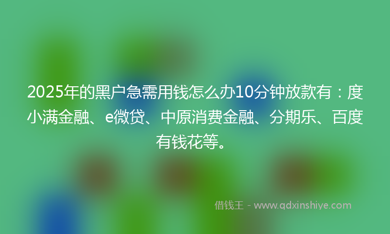 2025年的黑户急需用钱怎么办10分钟放款有：度小满金融、e微贷、中原消费金融、分期乐、百度有钱花等。