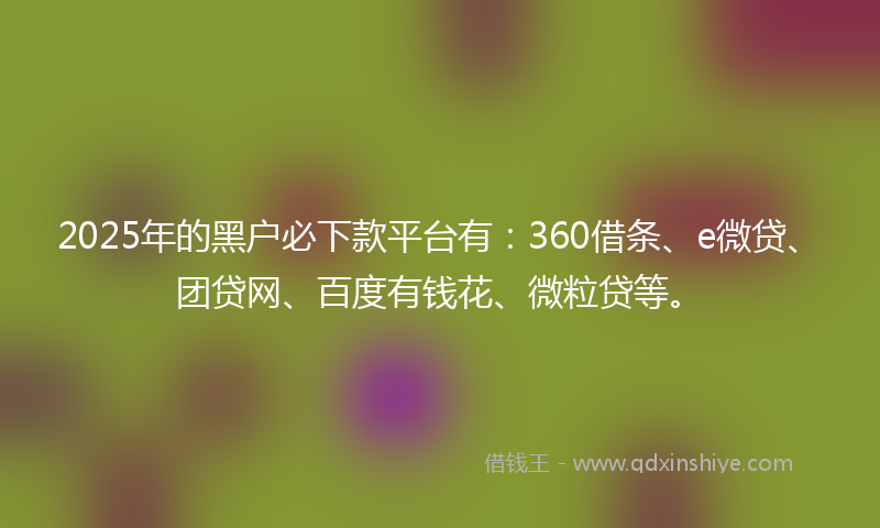 2025年的黑户必下款平台有：360借条、e微贷、团贷网、百度有钱花、微粒贷等。