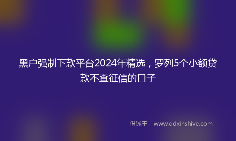 黑户强制下款平台2024年精选，罗列5个小额贷款不查征信的口子