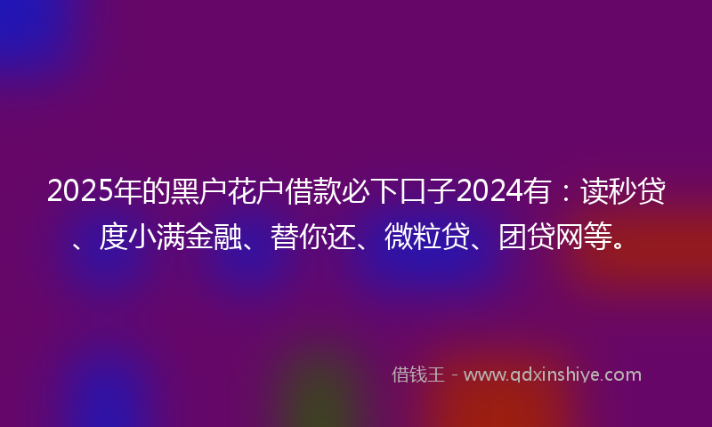 2025年的黑户花户借款必下口子2024有：读秒贷、度小满金融、替你还、微粒贷、团贷网等。