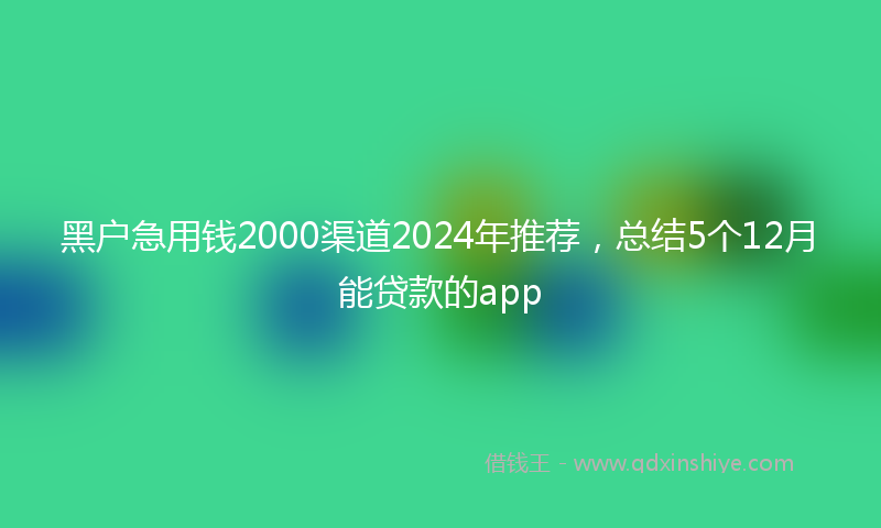 黑户急用钱2000渠道2024年推荐，总结5个12月能贷款的app