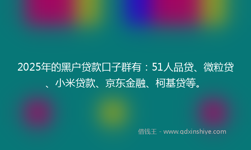 2025年的黑户贷款口子群有：51人品贷、微粒贷、小米贷款、京东金融、柯基贷等。