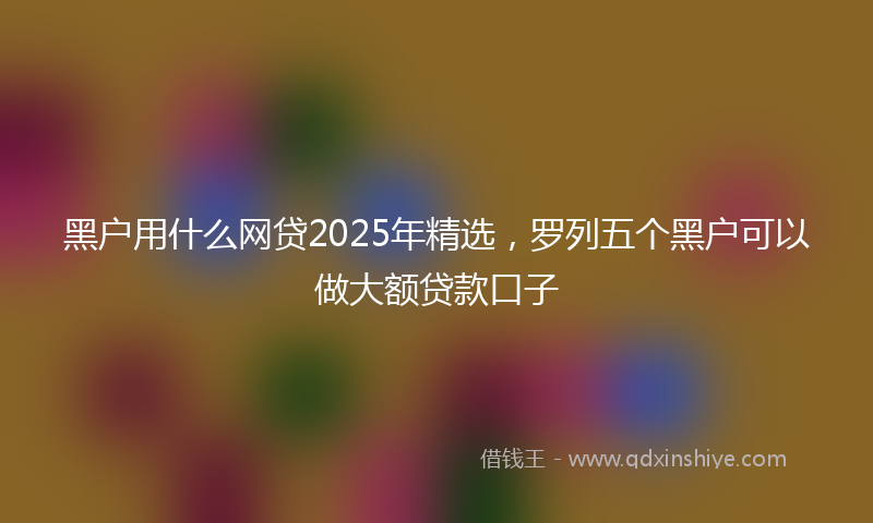 黑户用什么网贷2025年精选，罗列五个黑户可以做大额贷款口子