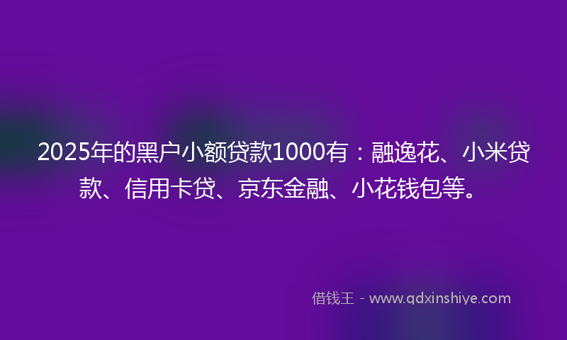 2025年的黑户小额贷款1000有：融逸花、小米贷款、信用卡贷、京东金融、小花钱包等。