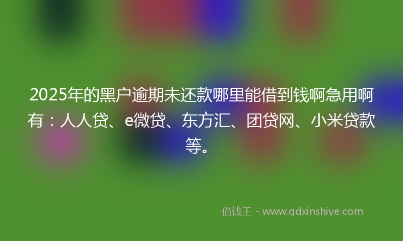 2025年的黑户逾期未还款哪里能借到钱啊急用啊有：人人贷、e微贷、东方汇、团贷网、小米贷款等。