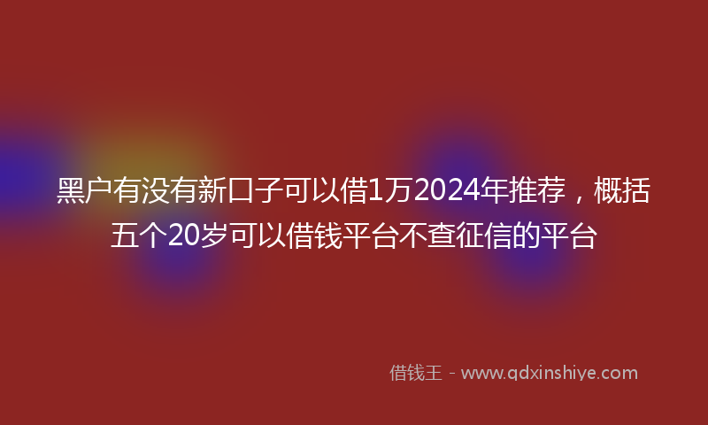 黑户有没有新口子可以借1万2024年推荐，概括五个20岁可以借钱平台不查征信的平台