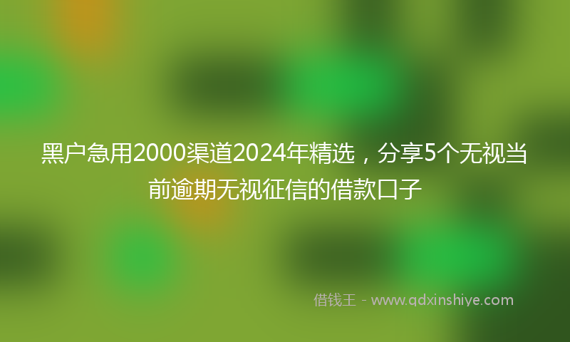 黑户急用2000渠道2024年精选，分享5个无视当前逾期无视征信的借款口子