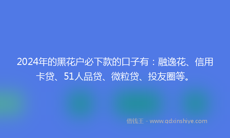 2024年的黑花户必下款的口子有：融逸花、信用卡贷、51人品贷、微粒贷、投友圈等。