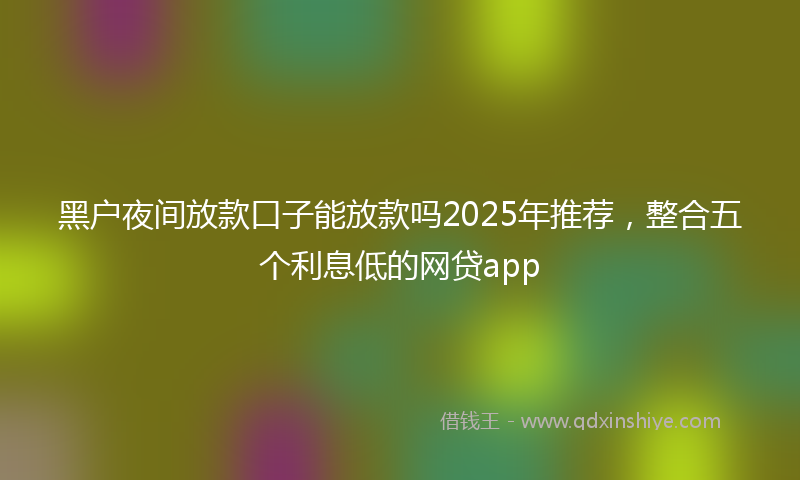 黑户夜间放款口子能放款吗2025年推荐，整合五个利息低的网贷app