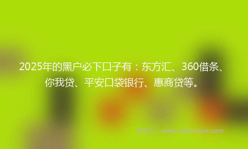 2025年的黑户必下口子有：东方汇、360借条、你我贷、平安口袋银行、惠商贷等。