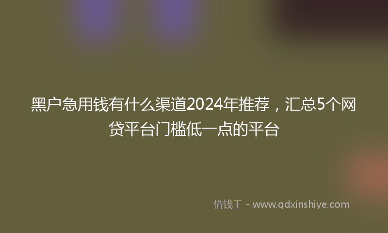 黑户急用钱有什么渠道2024年推荐，汇总5个网贷平台门槛低一点的平台