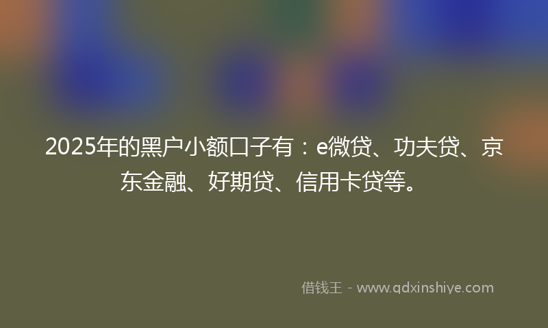 2025年的黑户小额口子有：e微贷、功夫贷、京东金融、好期贷、信用卡贷等。