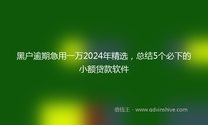黑户逾期急用一万2024年精选，总结5个必下的小额贷款软件