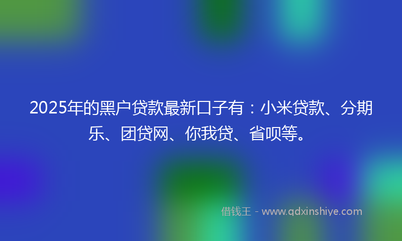 2025年的黑户贷款最新口子有：小米贷款、分期乐、团贷网、你我贷、省呗等。