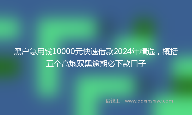 黑户急用钱10000元快速借款2024年精选，概括五个高炮双黑逾期必下款口子