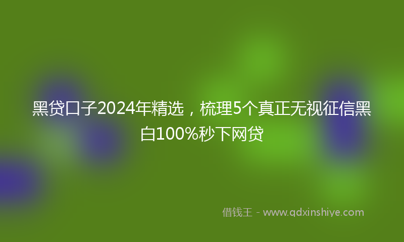 黑贷口子2024年精选，梳理5个真正无视征信黑白100%秒下网贷