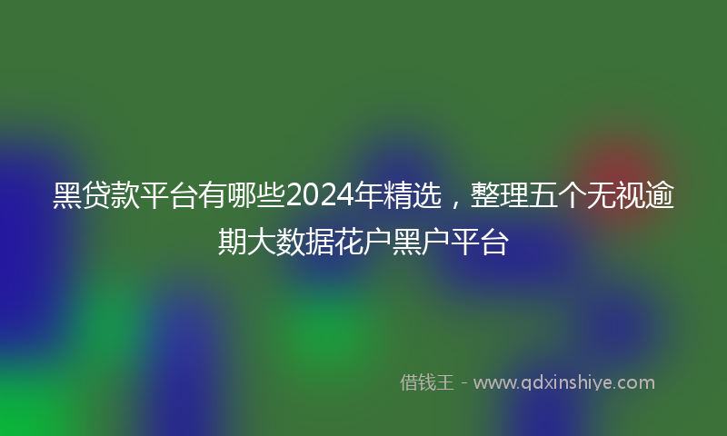 黑贷款平台有哪些2024年精选，整理五个无视逾期大数据花户黑户平台