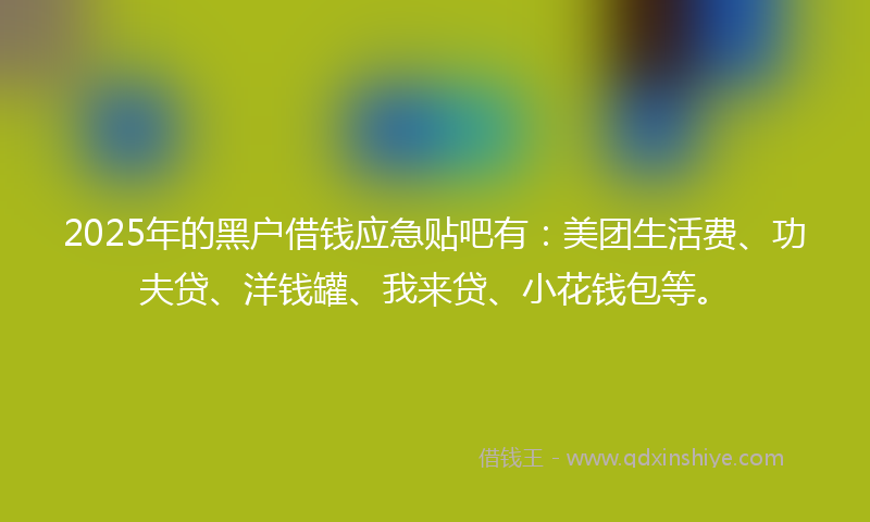 2025年的黑户借钱应急贴吧有：美团生活费、功夫贷、洋钱罐、我来贷、小花钱包等。