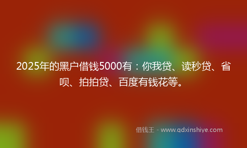 2025年的黑户借钱5000有：你我贷、读秒贷、省呗、拍拍贷、百度有钱花等。