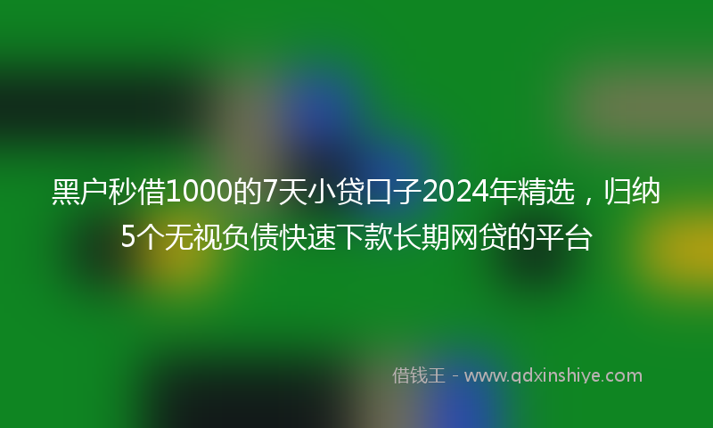 黑户秒借1000的7天小贷口子2024年精选，归纳5个无视负债快速下款长期网贷的平台