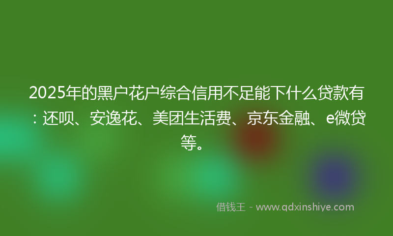 2025年的黑户花户综合信用不足能下什么贷款有：还呗、安逸花、美团生活费、京东金融、e微贷等。