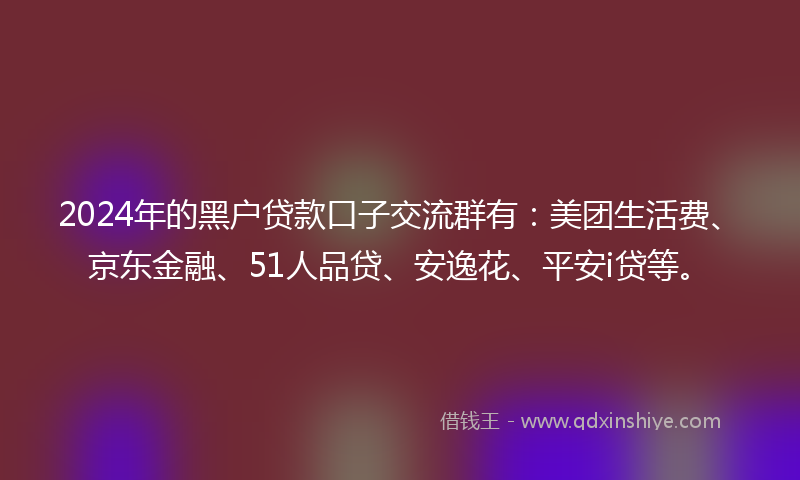 2024年的黑户贷款口子交流群有：美团生活费、京东金融、51人品贷、安逸花、平安i贷等。