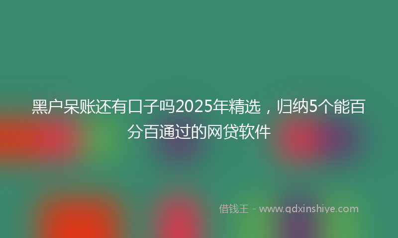 黑户呆账还有口子吗2025年精选，归纳5个能百分百通过的网贷软件