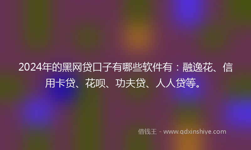 2024年的黑网贷口子有哪些软件有：融逸花、信用卡贷、花呗、功夫贷、人人贷等。